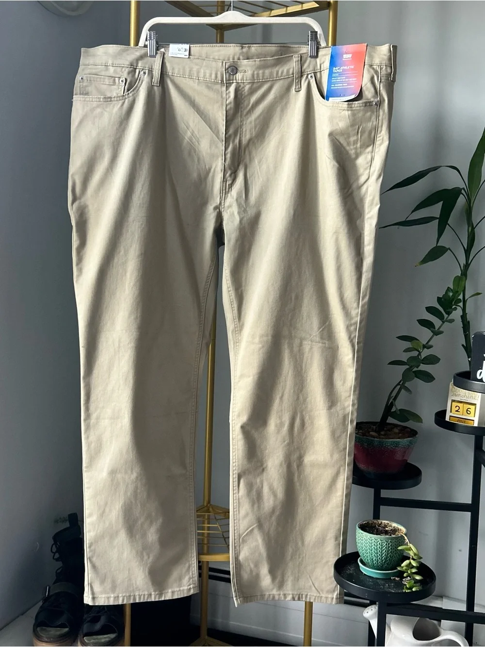 Levis levi straight